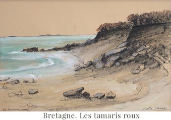 Bretagne. Les tamaris roux.jpg